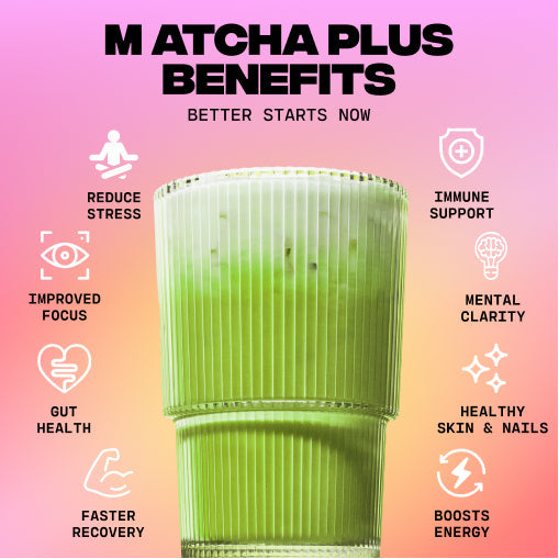 Matcha+ Starter Kit (30 Servings) - Daily Ready